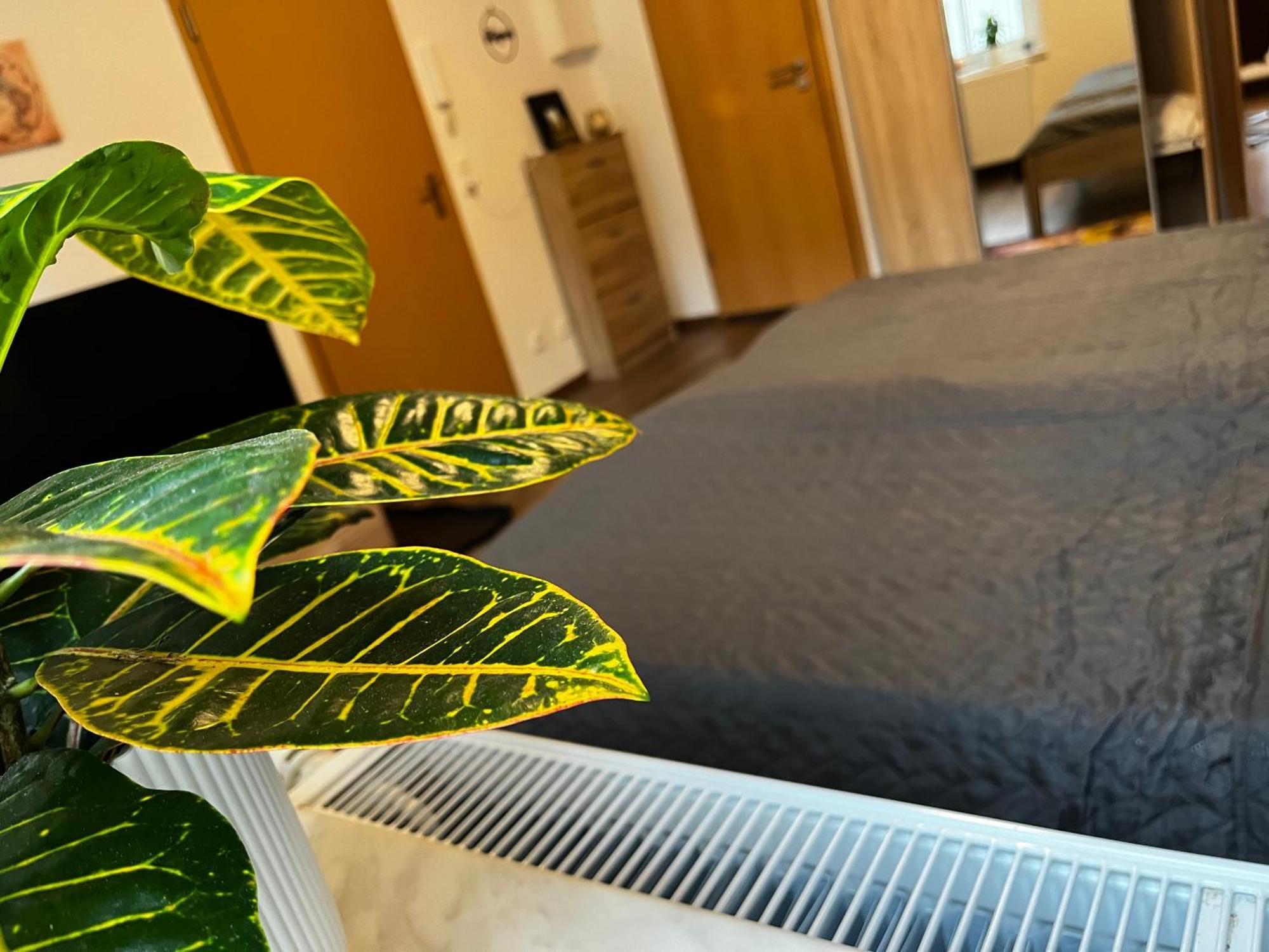 Apartamento Karli'S Plaetzchen Gera Exterior foto